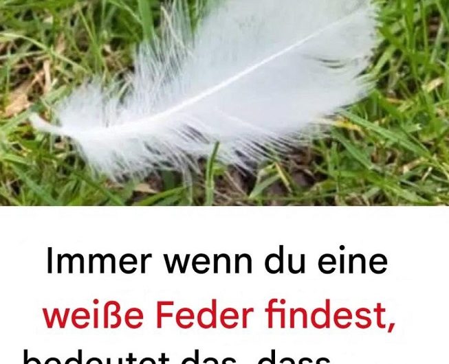 Die stille Bedeutung einer weißen Feder – Warum mich dieser kleine Moment mehr gelehrt hat als viele große Worte