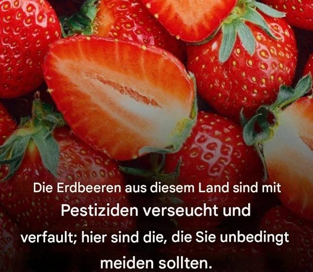 Die Erdbeeren aus diesem Land sollte man wirklich genauer betrachten – was viele beim Einkauf übersehen und warum es sich lohnt, zweimal hinzuschauen