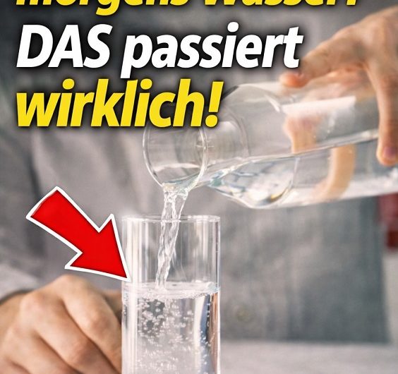 Wasser am Morgen – Warum ein einfaches Glas nach dem Aufstehen mehr bewirken kann, als viele denken