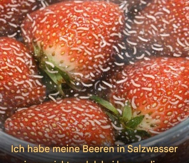 Weiße Würmer in Erdbeeren? Was wirklich dahinter steckt und warum Sie jetzt nicht in Panik geraten sollten