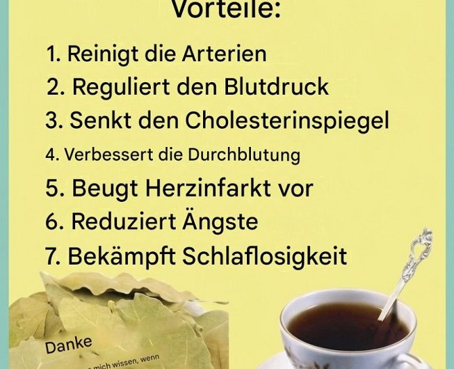 Lorbeerblätter im Alltag: Warum dieses einfache Gewürz seit Generationen geschätzt wird – und was wirklich dahintersteckt