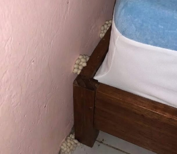 Als ich nach Hause kam, fiel mir etwas Seltsames neben meinem Bett auf – Die überraschende Erklärung dahinter