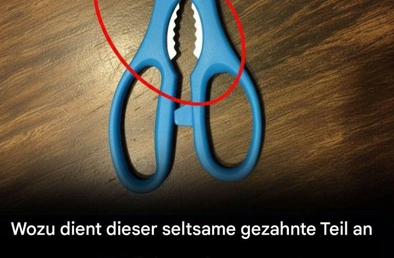 Wofür ist der gezackte Bereich an der Küchenschere wirklich da? Die meisten kennen seine praktische Funktion nicht