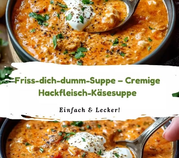Friss-dich-dumm-Suppe – cremige Hackfleisch-Käsesuppe