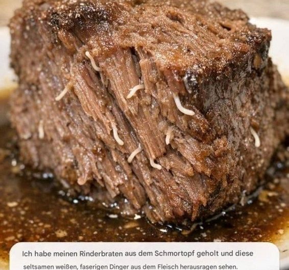 Seltsame weiße Fäden im Rinderbraten: Sind das wirklich Würmer?