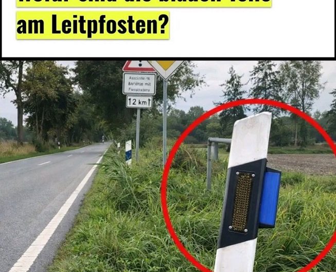 Wofür sind die blauen Teile an manchen Leitpfosten? Die Antwort kennen erstaunlich viele Autofahrer nicht