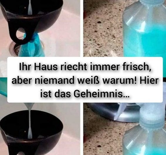 Ihr Haus riecht immer frisch, aber niemand weiß warum! Hier ist das Geheimnis…