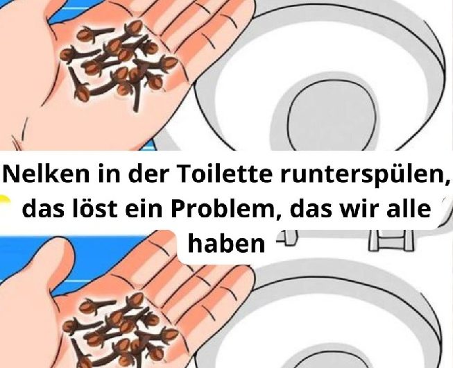 Nelken in der Toilette runterspülen? Dieser Haushaltstrick verbreitet sich überall – doch das steckt wirklich dahinter