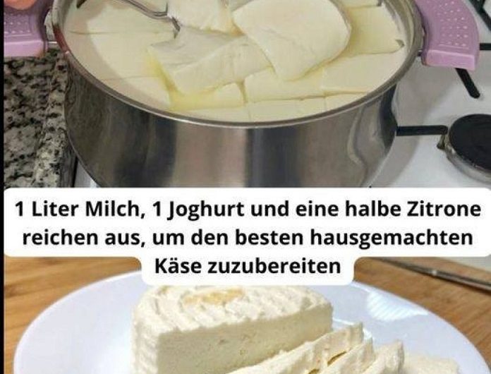 Hausgemachter Käse aus 1 Liter Milch, Joghurt und Zitrone – so einfach geht es