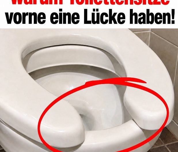 Warum haben manche Toilettensitze vorne eine Lücke? Der wahre Grund überrascht viele!