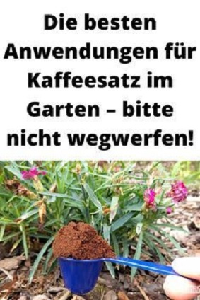Kaffeesatz im Garten: Warum erfahrene Hobbygärtner ihn nicht einfach wegwerfen – und welche 7 Anwendungen wirklich sinnvoll sind