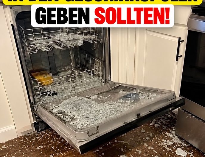 Mein Geschirrspüler war voller Glasscherben – seitdem weiß ich, welche 8 Dinge niemals hineingehören!
